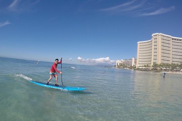 Stand Up Paddle Private Lesson (Waikiki Courtesy Shuttle)