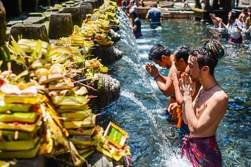 Best of Ubud Tour with Waterfall, Rice Terraces & Monkey Forest Including Lunch