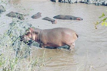 2 Days Ngorongoro & Tarangire From Zanzibar 
