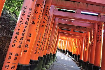 Kyoto Early Bird Walking Tour