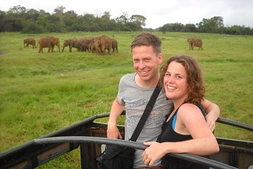 Guided Elephant Safari: Minneriya or Kaudulla