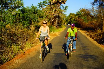 Sigiriya Cycle Tour: Explore Village Life in Sigiriya & Enjoy a Village Lunch