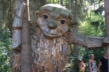 The Forgotten Giants Private Tour