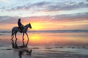 Horse riding at sunset for 2 hours