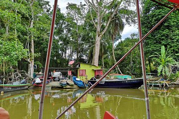 Tortugerro Canal with the Redfrogteam