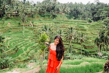 The Best Package Private Tours Explore Ubud Village with Lunch