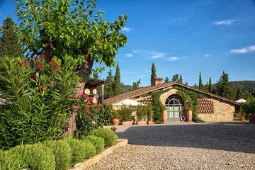 Wine tasting in the historical Cantalici winery