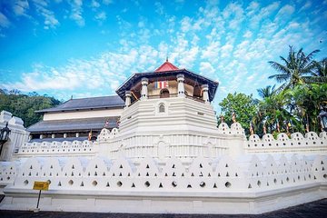 Highlights Of Sri Lanka - 4 Days