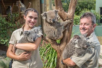 Waves, Wildlife, & Wines in South Coast (Sydney private tour)