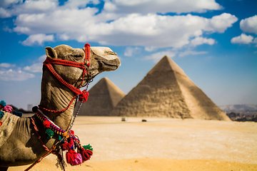 Half Day Giza pyramids Sphinx with 1 Hour Camel ride