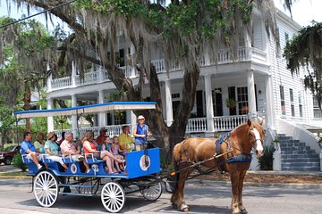 #1 Historical Horse Drawn Carriage Tour