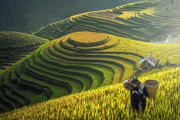 Essential SAPA HIKING TOUR