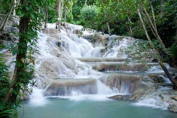 Dunns River Falls and Park Private [Transportation service]