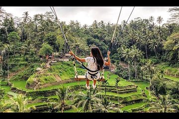 Bali: Swing And Ubud Tour