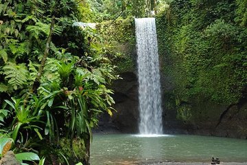 Hidden Beauty of One day with waterfall