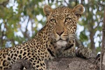 3 days Lake Mburo National Park