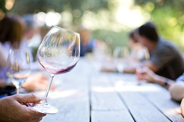  Private Wine Tasting Experience of Greek Awarded Wines at Athens Wine Suburb