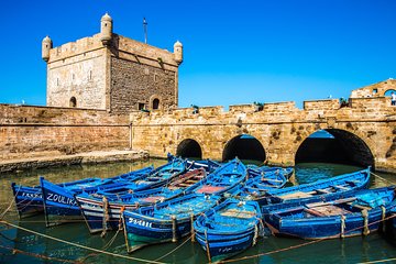 One day trip to Essaouira the city of organ trees and fishermen