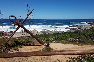 Poetry and Wines: Isla Negra and Undurraga vineyard