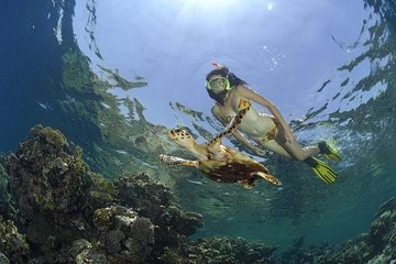 Dahab Safari & Snorkeling at Blue Hole