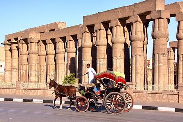 Luxor city tour by Horse Carriage, live & discover local life