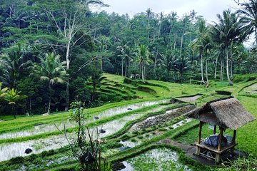 Best of Bali private customized tours