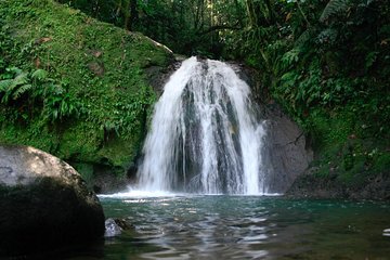 Découvrez le sud de la basse terre avec un guide 