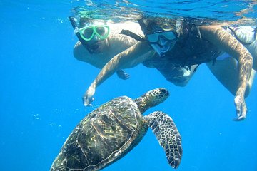 Snorkeling Trip At Port Ghalib Marina from Marsa Alam