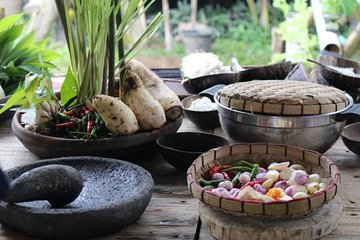 Balinese Cooking Class at Organic Farm