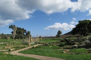 Temple of Artemis-Brauron Half Day Private Tour 8 seat 