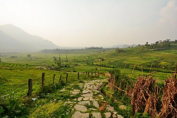 1 day hike to Phulchwoki Hill (Kathmandu Valley)