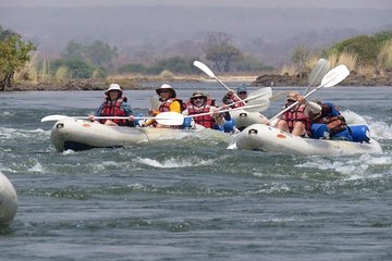 Canoeing - 1 Night / 1 Day - Upper Zambezi - River Wild Safaris