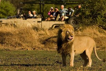 Five-Day Hwange NP, Chobe NP and Victoria Falls Combo