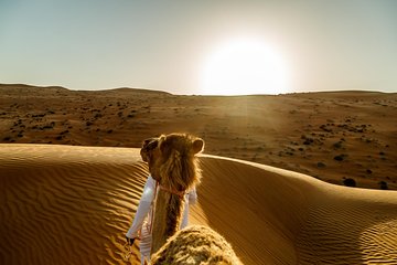 Wahiba Sands&Wadi Bani Khalid desert Safari(Muscat tours) :Outdoor activity