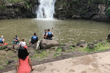 North Shore / Waimea, Falls Day & Swim with Turtles