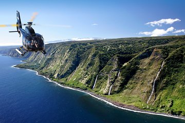 Kohala and Hamakua Coast Flight