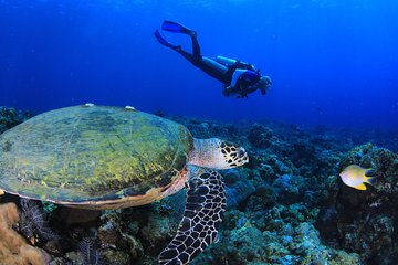 Discover Scuba Diving