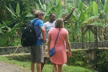 Private Tour of Montego Bay 