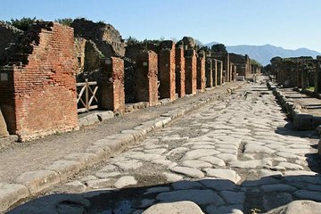 Pompeii and Vesuvius Private Guided Tour