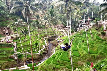 Ubud Tour - Highlights of Ubud