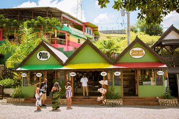  Bob Marley Nine Mile and Dunn's River Falls Tour From Montego Bay 