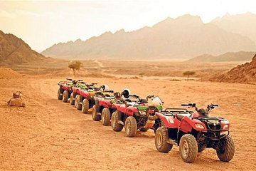 Hurghada, Red Sea sunset desert safari trip by quad bike