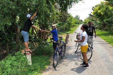 Non-Touristy Mekong With Biking 1 Day