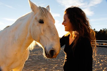 Leadership & Mindfulness Retreat with Horses - Individual & Group