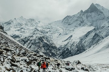 7 days Annapurna MBC Trek