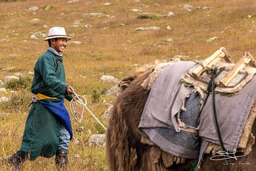 2 days horse trek in Naiman nuur and the central part of Mongolia 8 days