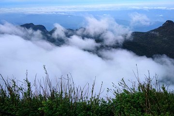 The backpackers trail to Elephant Spine – Knuckles