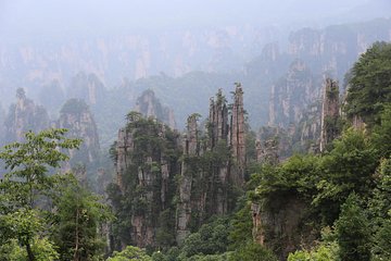 Glass Bridge,Zhangjiajie park Avatar Mountain day tour