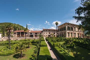 Amarone, the great red revealed