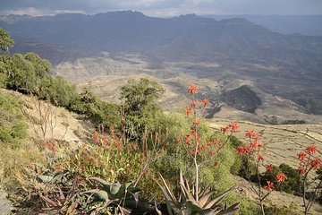 Day Trip from Lalibela to Asheton Mariam Monastery, Landscape, Lifestyle 